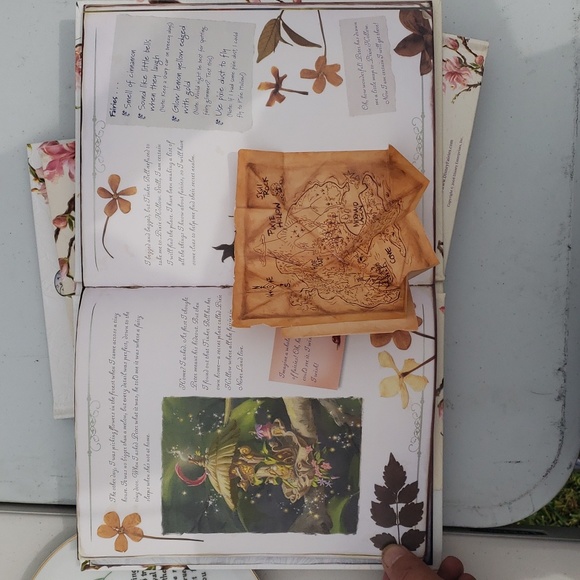 Disney "The Hidden World of Fairies" book - Picture 3 of 16